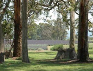 Stanthorpe QLD Accommodation Gladstone