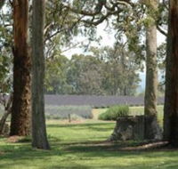 Aloomba Lavender - Accommodation Gladstone