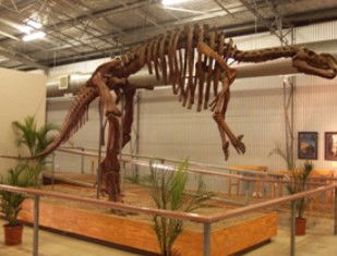 Australia's Dinosaur Trail - Accommodation Gladstone 0