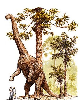 Australian Age Of Dinosaurs - Accommodation Gladstone 2