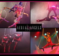 Aerial Angels - Accommodation Gladstone