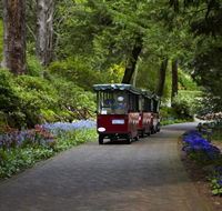 Araluen Botanic Park - Accommodation Gladstone