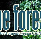 Forest Cafe  Bar - Accommodation Gladstone