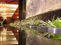 Terra Rossa - Accommodation Gladstone 2