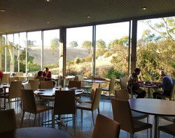 Inglewood Inn - Accommodation Gladstone 1