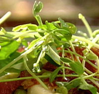 Wild Hearts Cafe Restaurant - Accommodation Gladstone