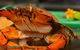 River Cottage Restaurant - thumb 0