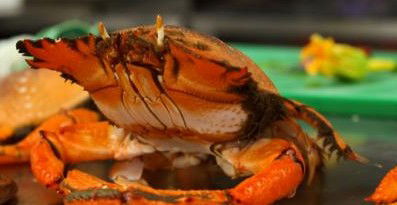 River Cottage Restaurant - Accommodation Gladstone 0