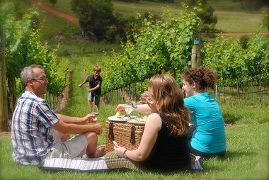 Oceanview Estate Winery / Restaurant - Accommodation Gladstone 7