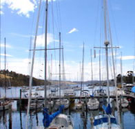 Oyster Cove Inn - Accommodation Gladstone