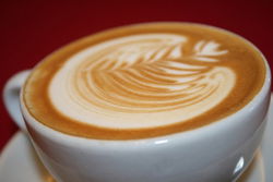  Accommodation Gladstone