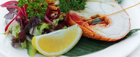 Crustaceans On The Wharf - Accommodation Gladstone 1