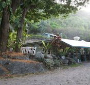 Ellis Beach Bar  Grill - Accommodation Gladstone