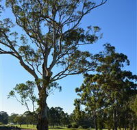 Ryde-Parramatta Golf Club - Accommodation Gladstone