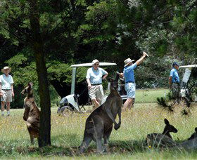 Swan Vale NSW Accommodation Gladstone