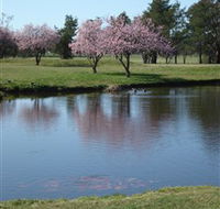 RMC Golf Club - Accommodation Gladstone
