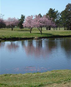 RMC Golf Club - Accommodation Gladstone 0