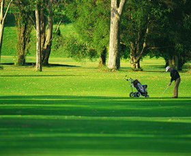 Foster Golf Club - Accommodation Gladstone 0