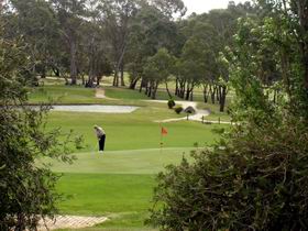 Mount Barker-Hahndorf Golf Club - Accommodation Gladstone 0