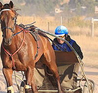 Ballarat  District Trotting Club - Accommodation Gladstone