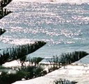 Bondi Social - Accommodation Gladstone