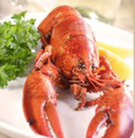 Il Piatto Restaurant - Accommodation Gladstone 1