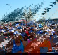 7 Sunshine Coast Marathon - Accommodation Gladstone