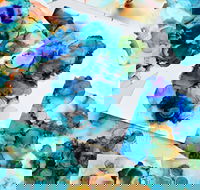 Alcohol Ink Art Class - Accommodation Gladstone