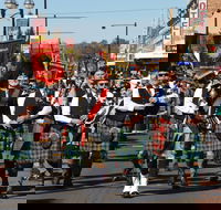 Australian Celtic Festival - Accommodation Gladstone