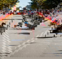 Australian Billy Cart Championships - Accommodation Gladstone