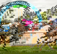 Bathurst Cup - Accommodation Gladstone