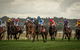 Bathurst Cup - thumb 1