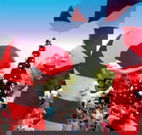 Blacktown Christmas Light Up Concert - Accommodation Gladstone