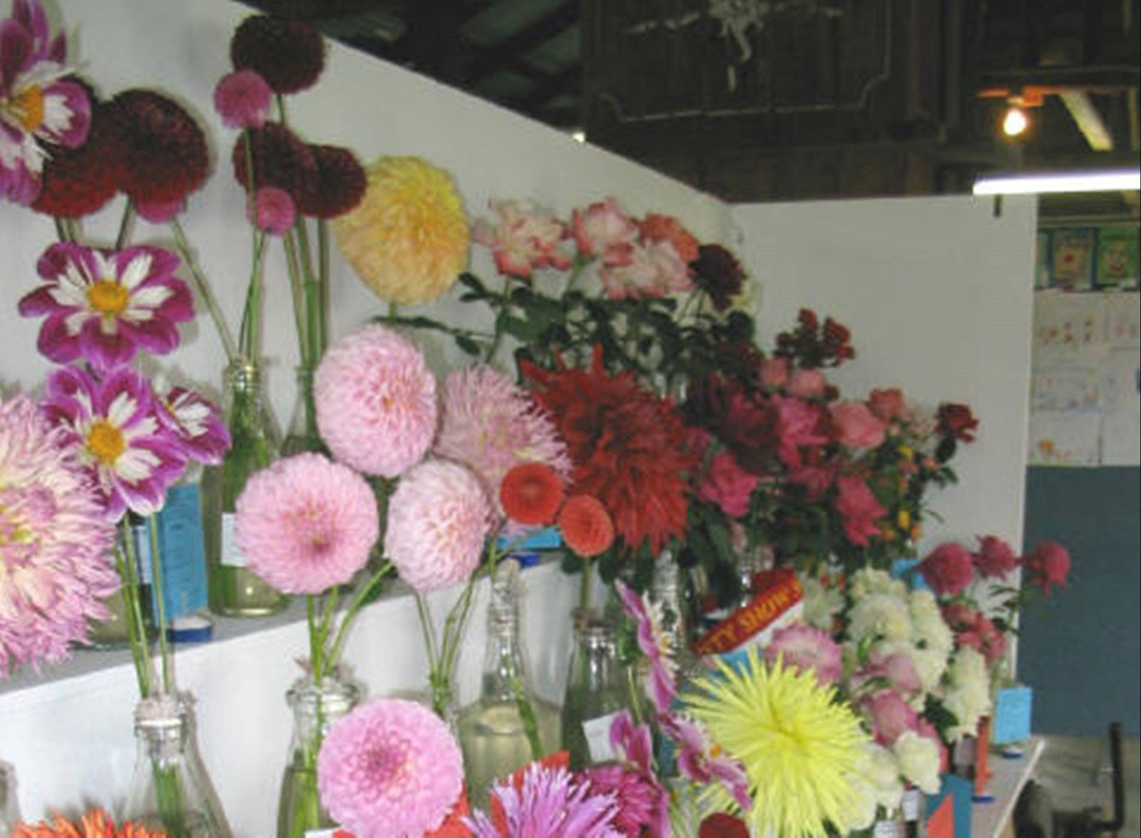 Avonside NSW Accommodation Gladstone