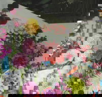 Dalgety Show - Accommodation Gladstone