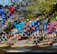 Duval Dam Buster Trail Run - Accommodation Gladstone