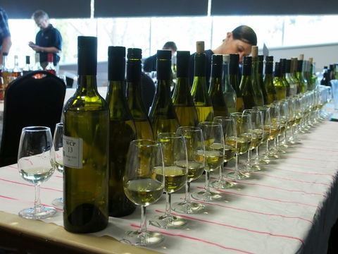 Eltham And District Wine Guild Annual Wine Show - 51st Annual Show - Accommodation Gladstone 1