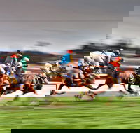 Grafton July Racing Carnival - Accommodation Gladstone