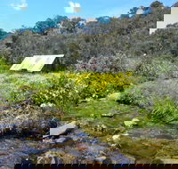 Hedonistic Hiking's Falls Creek to Hotham - Accommodation Gladstone