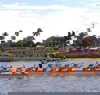 Jacaranda Dragon Boat Races - Accommodation Gladstone