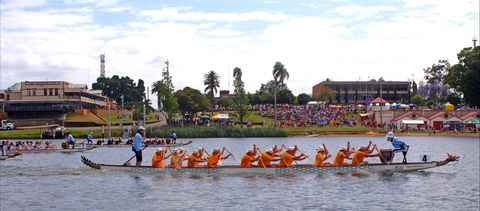 Jacaranda Dragon Boat Races - Accommodation Gladstone 0