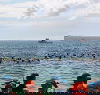 Nowra Toyota triHusky Huskisson Triathlon Festival Little Husky - Accommodation Gladstone