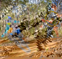 NSW State Downhill Mountain Bike Championships - Accommodation Gladstone