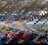Supercars Supercheap Auto Bathurst 1000 - Accommodation Gladstone