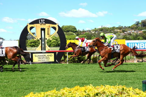 The O’Brien Electrical And Plumbing Lismore Cup - Accommodation Gladstone 1
