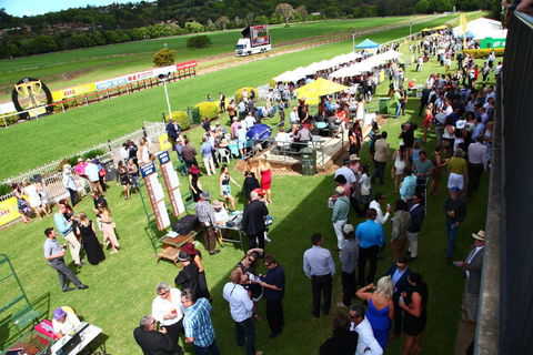 The O’Brien Electrical And Plumbing Lismore Cup - Accommodation Gladstone 2