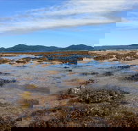 Walk to the Reef - Accommodation Gladstone