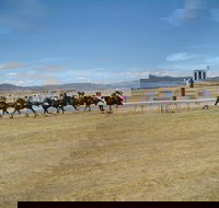 Adaminaby Cup Race Day - Accommodation Gladstone