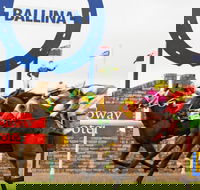 Ballina Boxing Day Races - Accommodation Gladstone