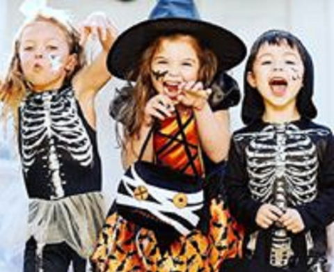 Boo! At The Zoo! - Accommodation Gladstone 2